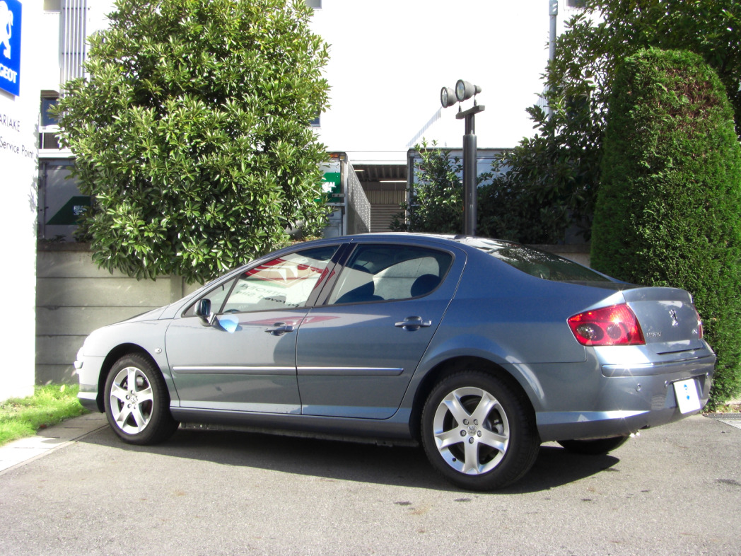 407ZW01.jpg
