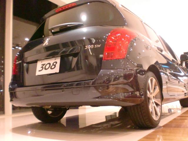 308SW.JPG