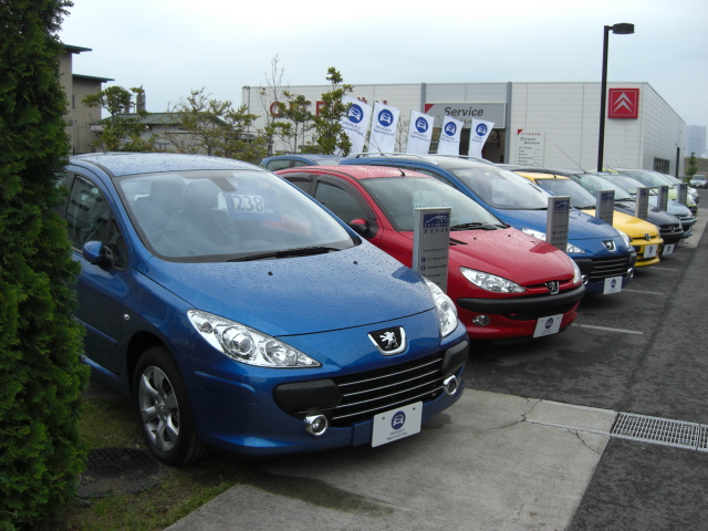 特選車情報