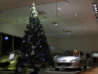 Blue X'mas Tree