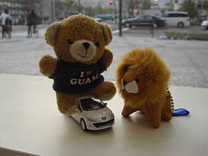 308CCデビュー！？