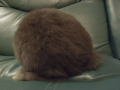 はじめまして