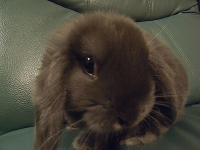 はじめまして