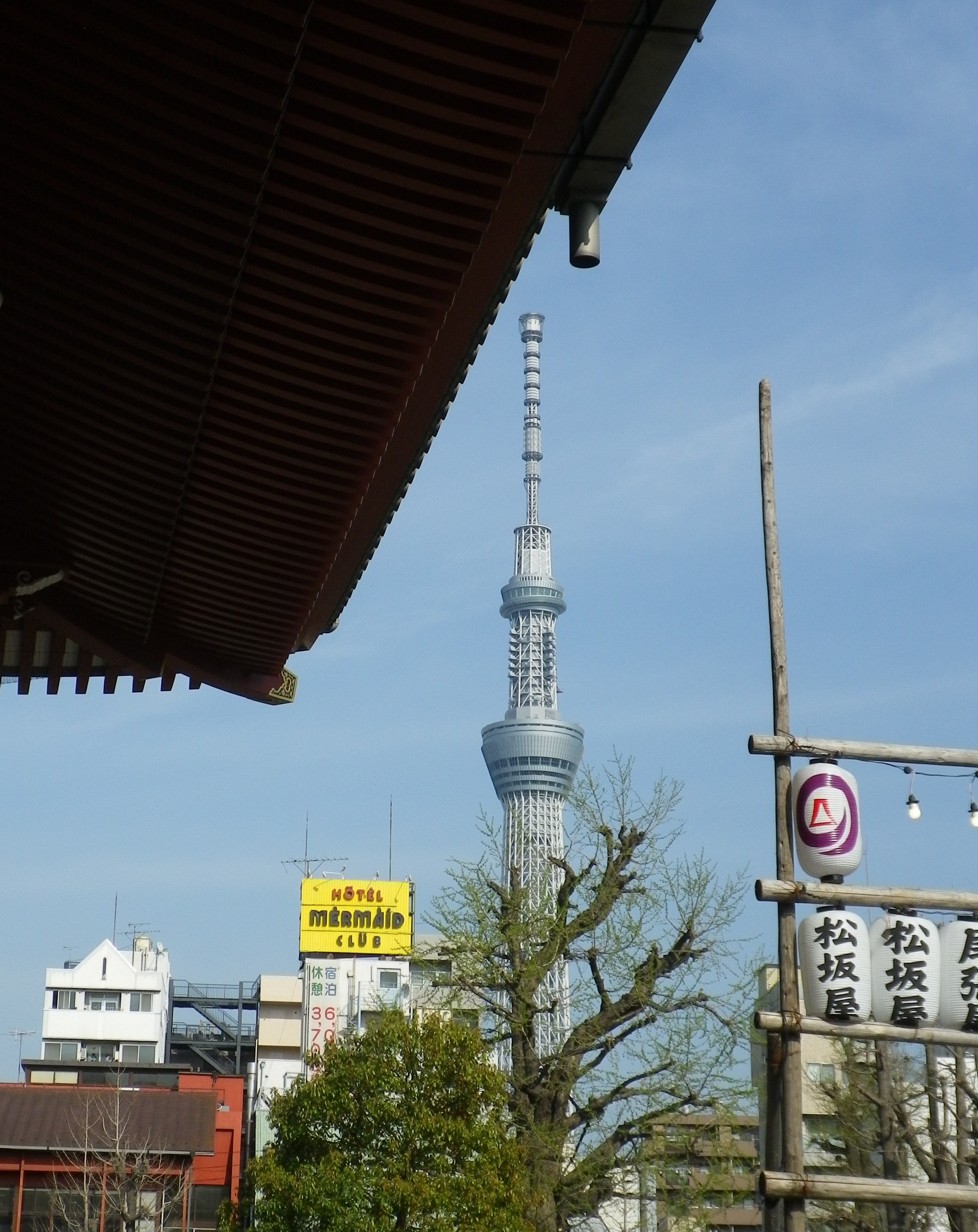 らいおん散歩♪