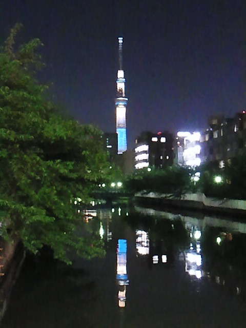らいおん夜散歩♪