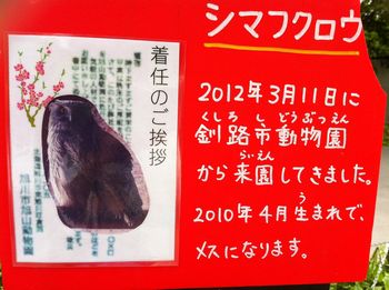 ライオンくんの旅
