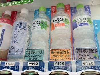 ライオンくんの旅