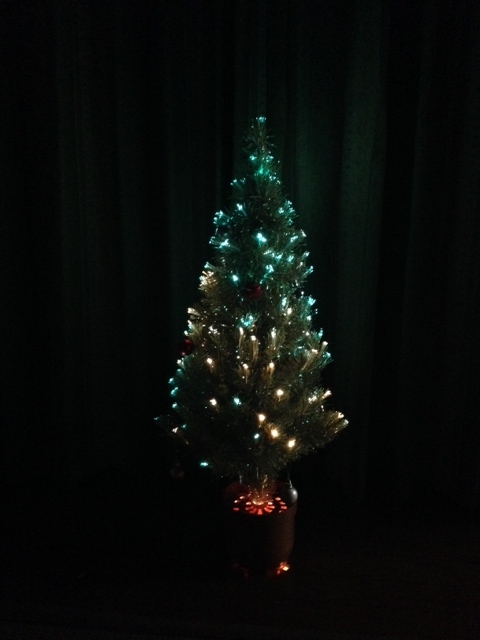 クリスマスイルミネーション！！