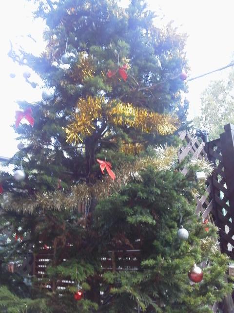 クリスマスツリー