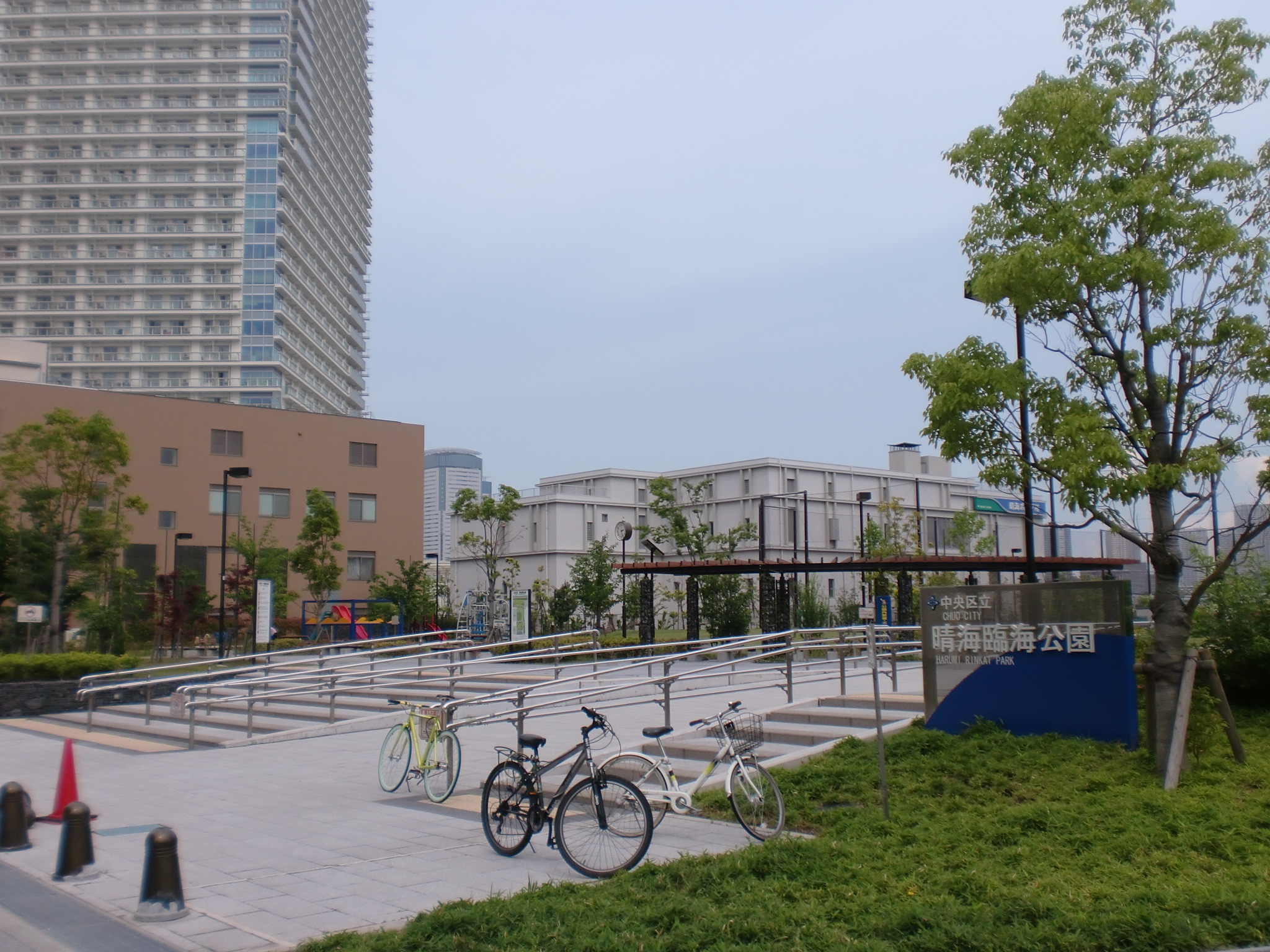 【ブラタケト】晴海臨海公園