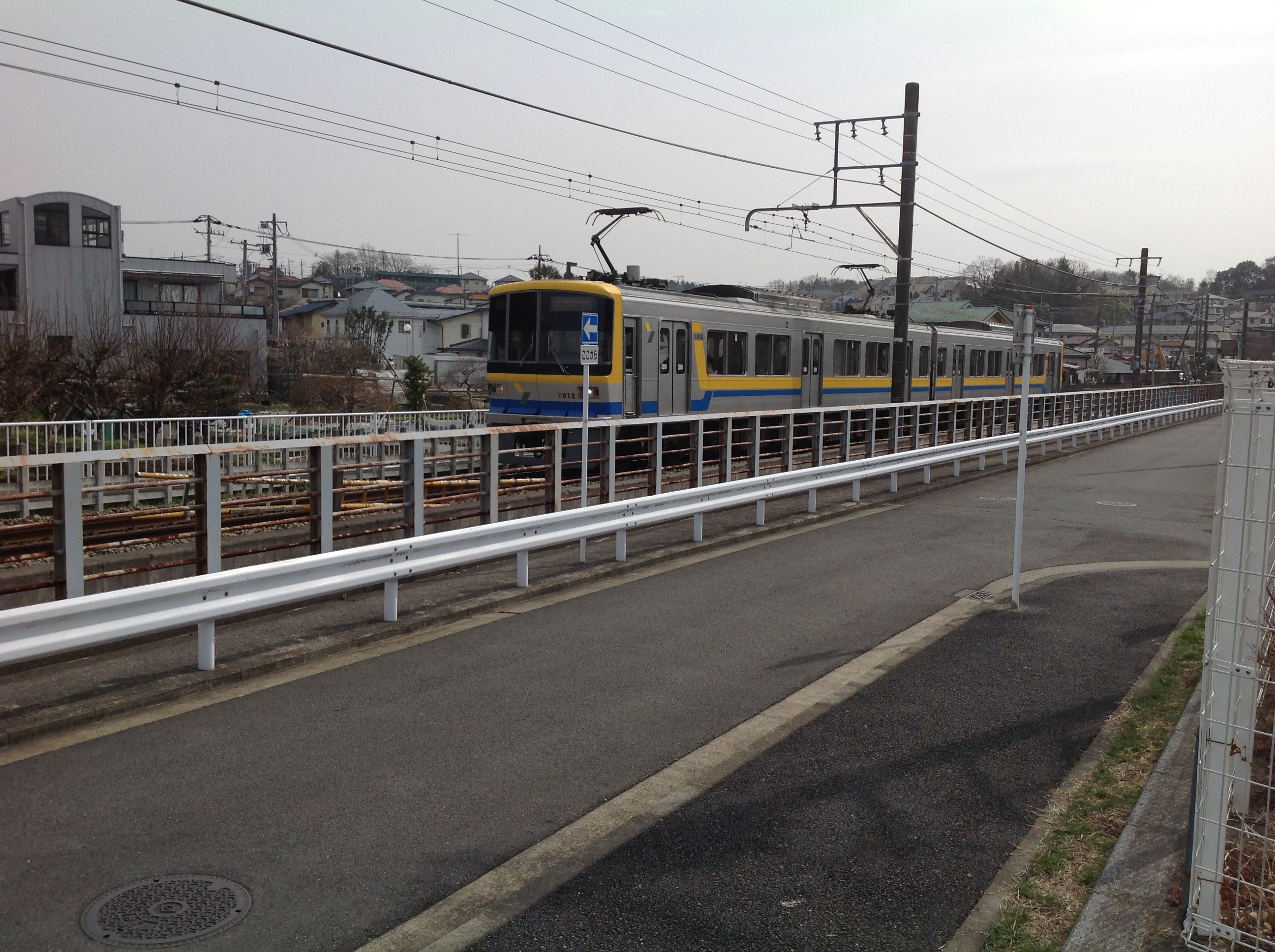 久しぶりの散歩