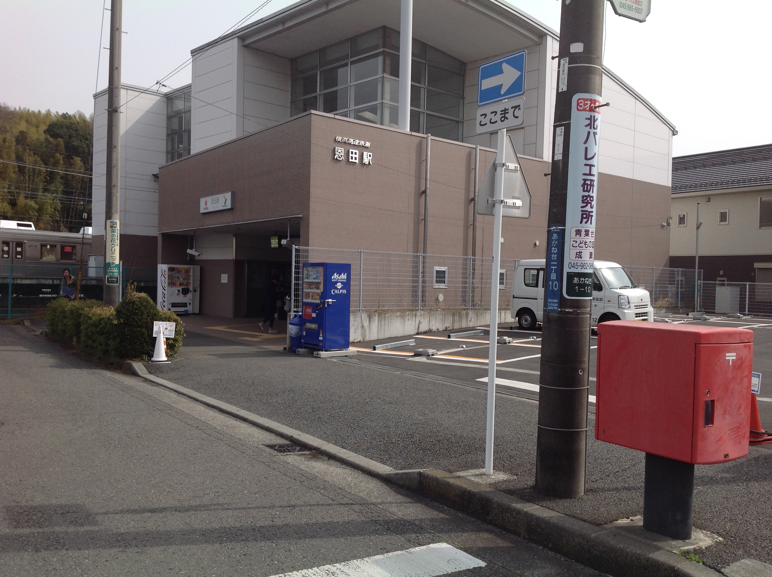 久しぶりの散歩