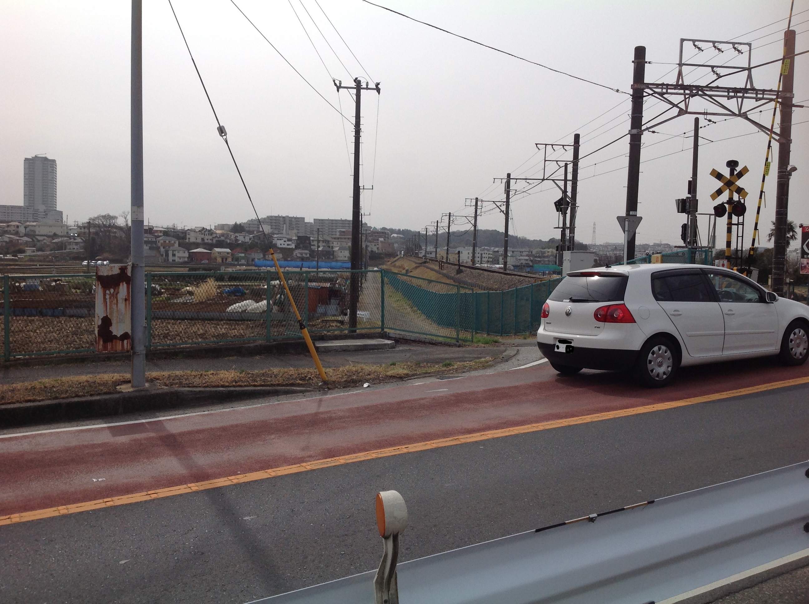 久しぶりの散歩