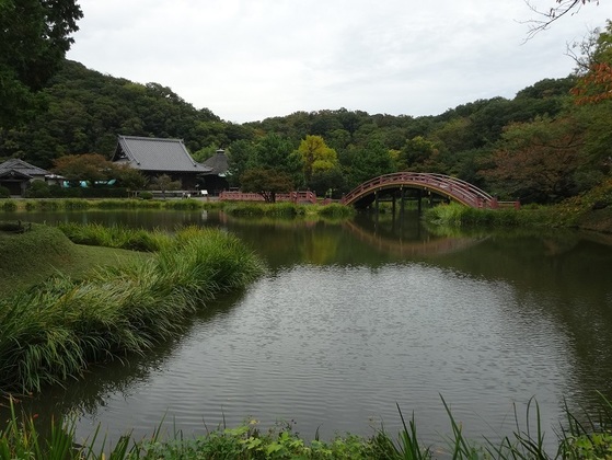 【ブラタケト】神奈川県立金沢文庫