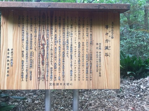 最近の大竹