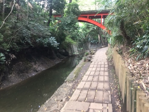最近の大竹