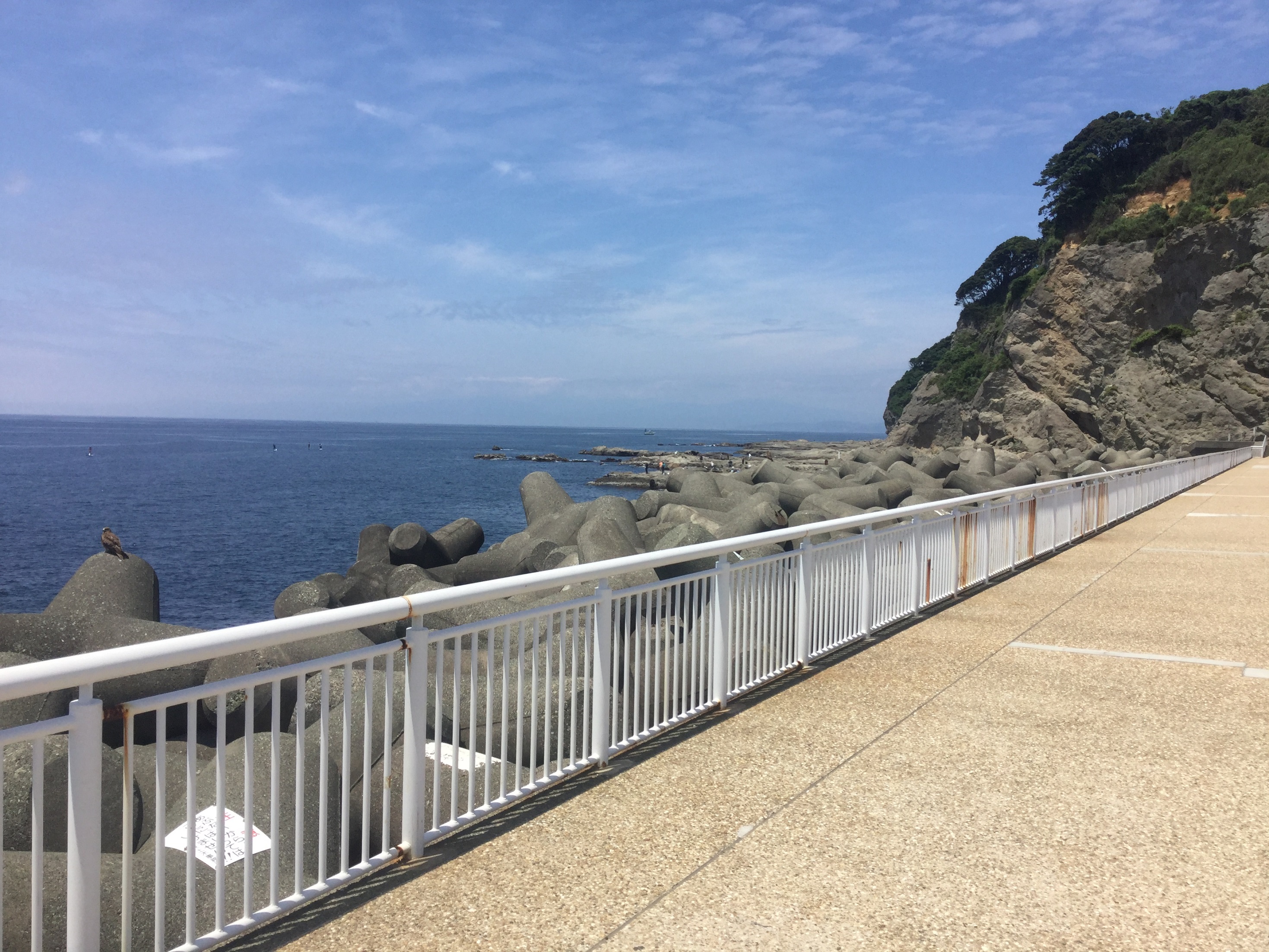 お気をつけください