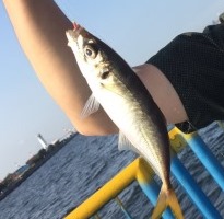 世界を釣る!!　初級編