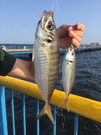 世界を釣る!!　初級編