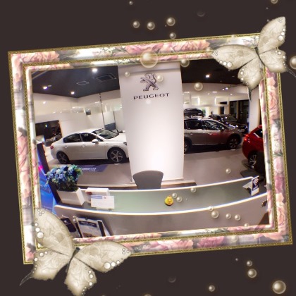 ワイドレンズで遊んでみたよ♪♪