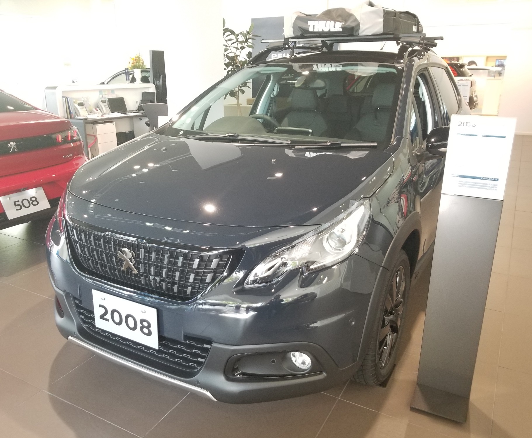 PEUGEOT MY STYLE CAMPAIGN  [SUV]