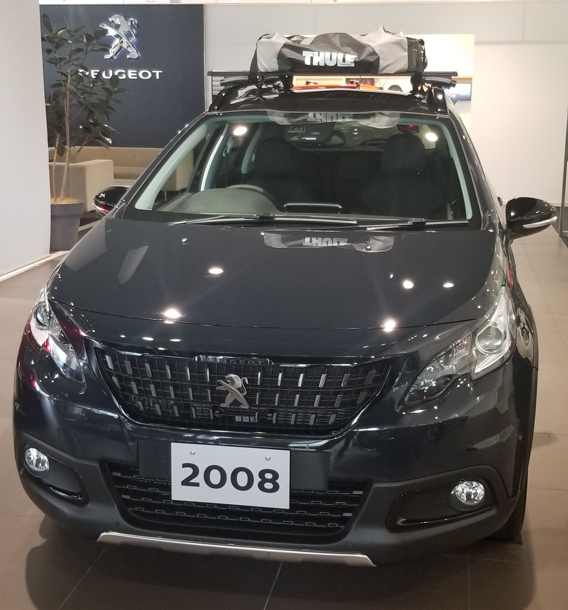 展示車のご紹介