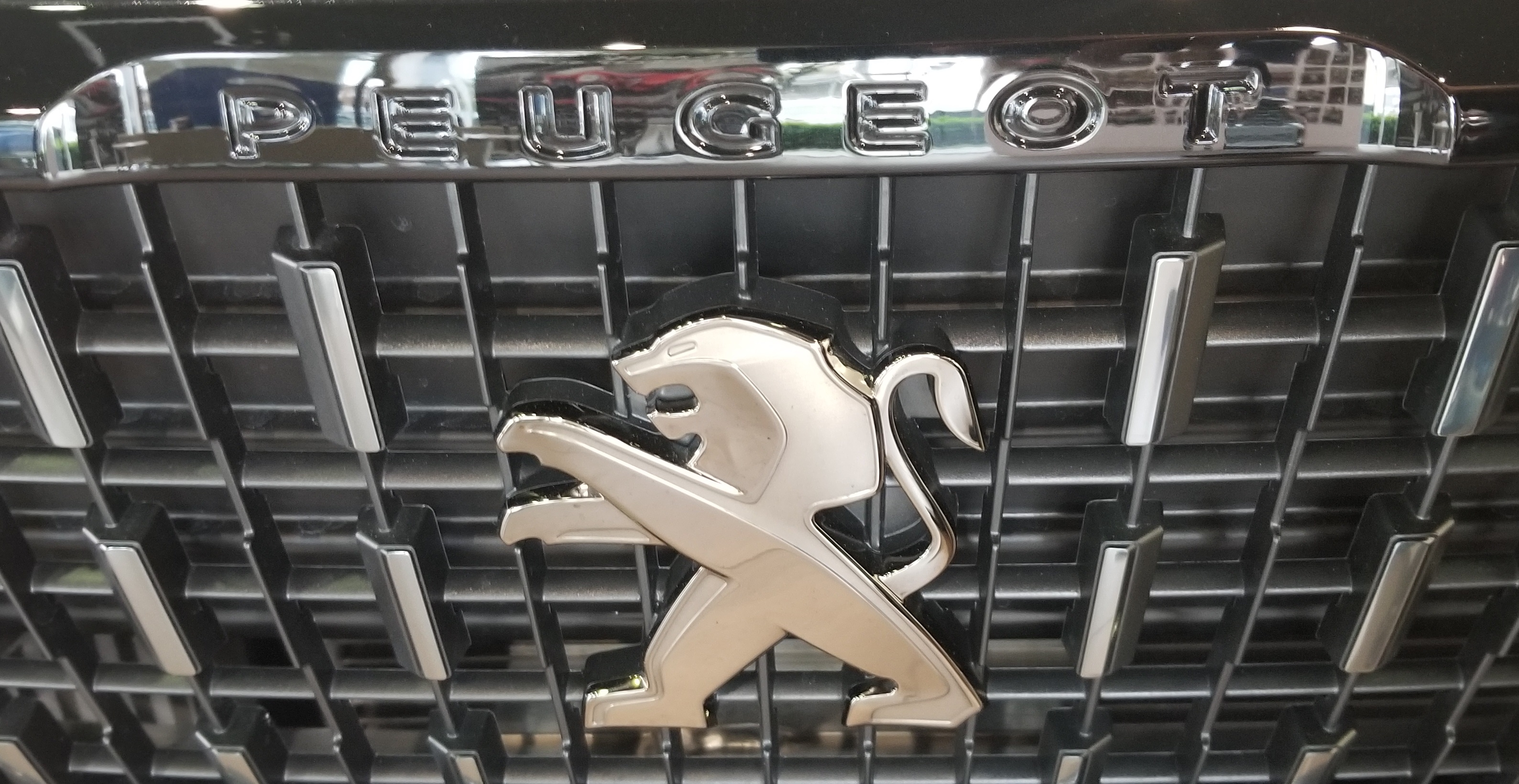 展示車のご紹介