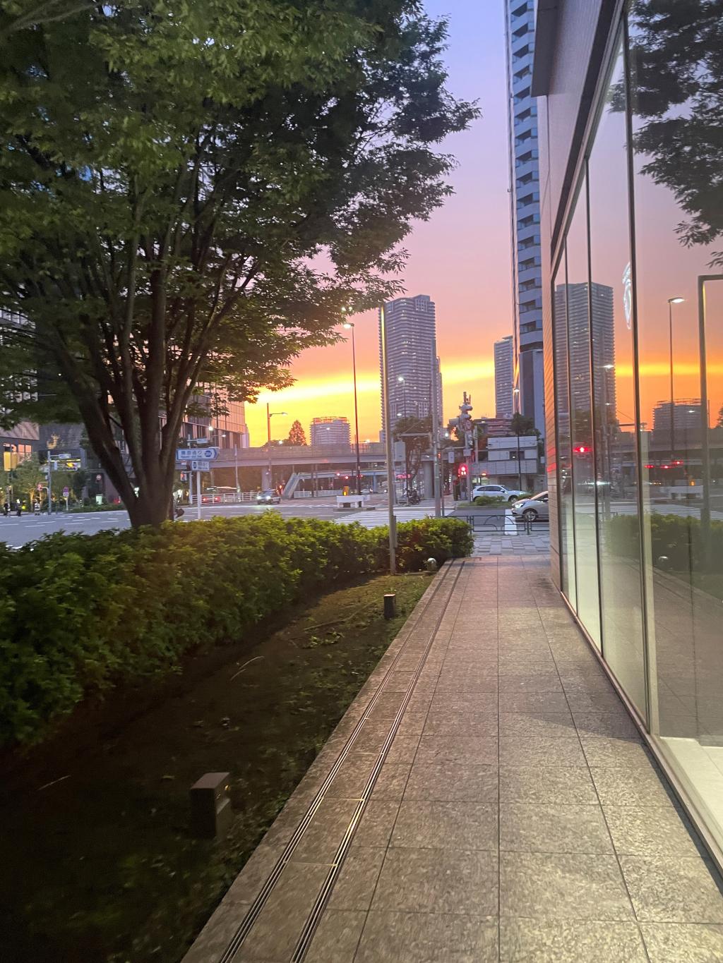 ショールームと夕日🌇