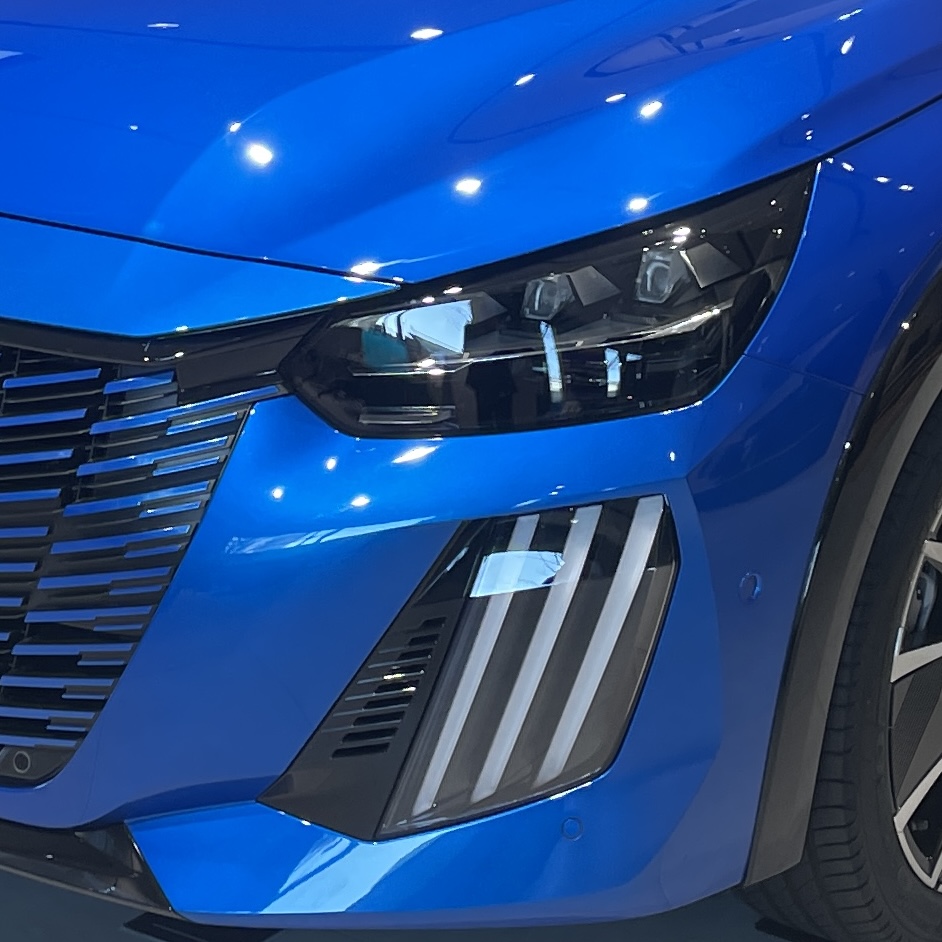 ライオンモチーフの理由🦁