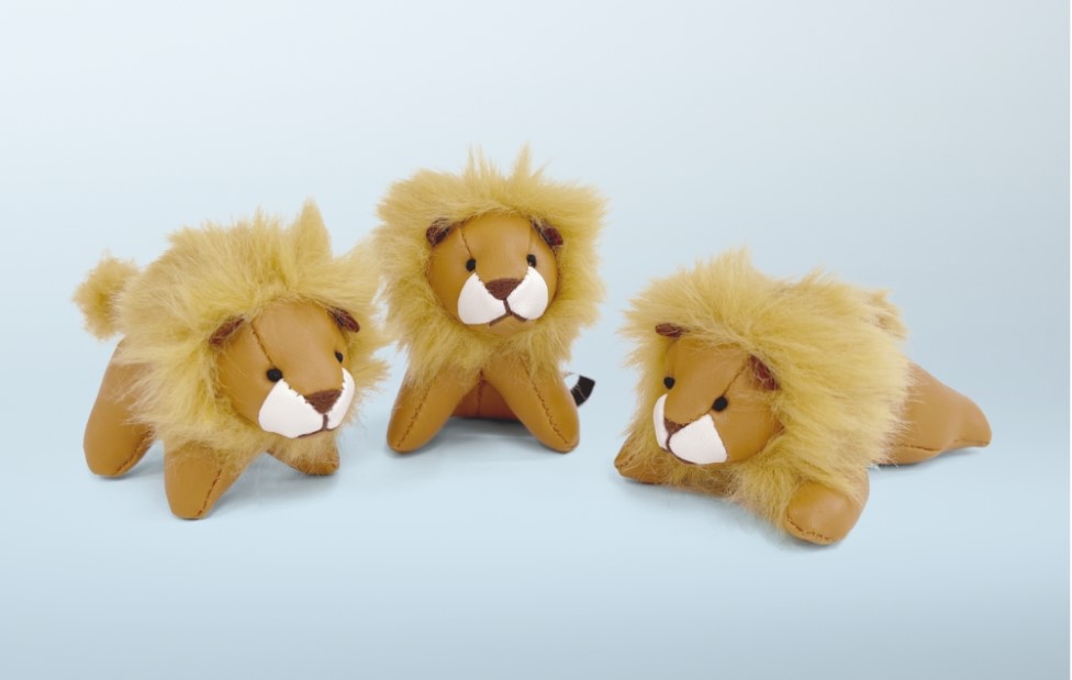 PETIT LION LIFEフェアいよいよ開催🦁